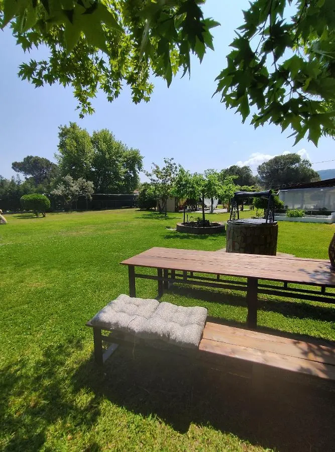 Aitherial Summer House Vourvourou Daire